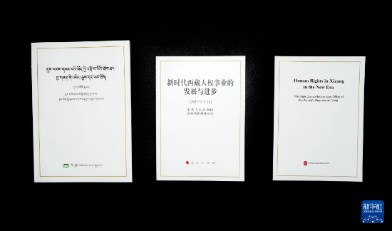 新华网评：人民幸福生活是最大的人权